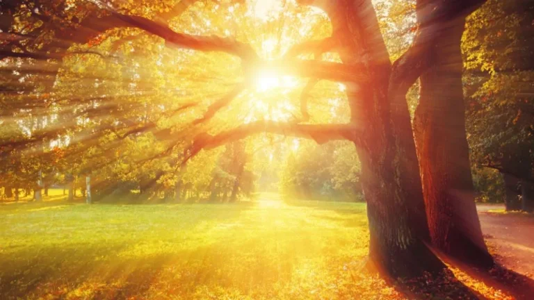 Kánikula várható június utolsó hetében